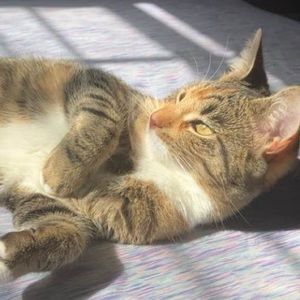 Meet your Posher, Ash